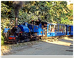 Toy Train in Kalimpong